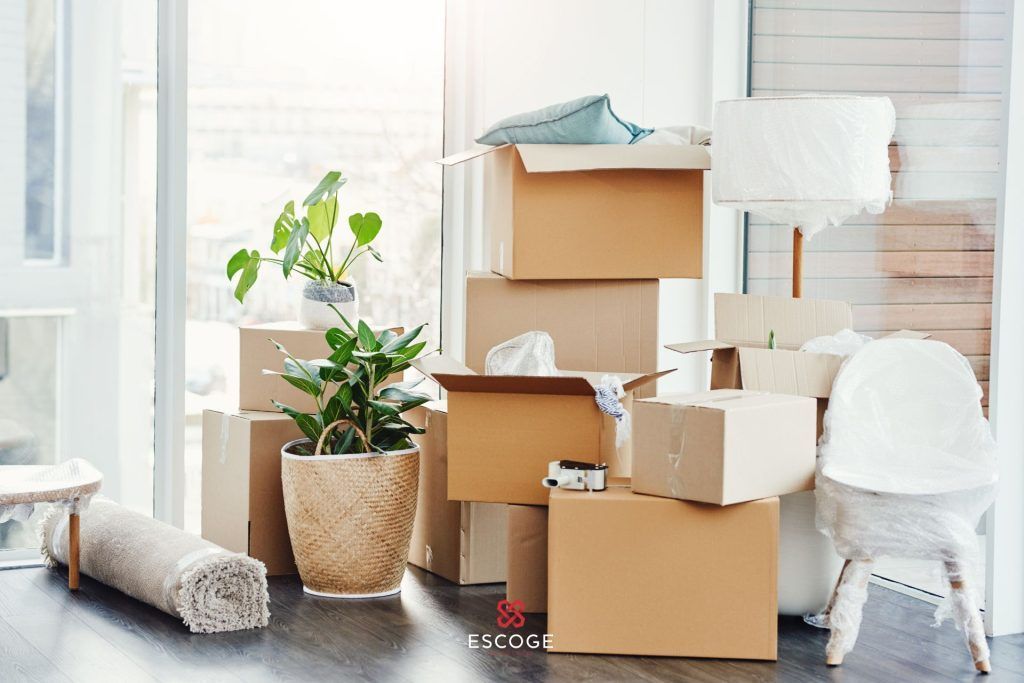 consultoría inmobiliaria sobre la mudanza
